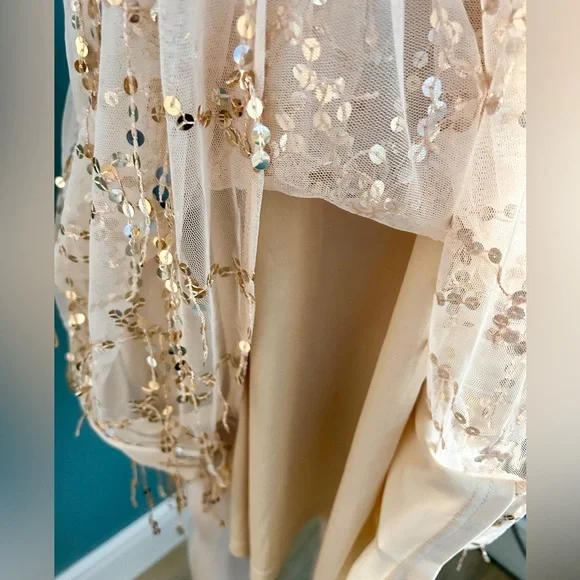 Elegant Beige Gold Tassel Sequin Short Sleeve Dress Plus Size 18 3X - Picture 8 of 9